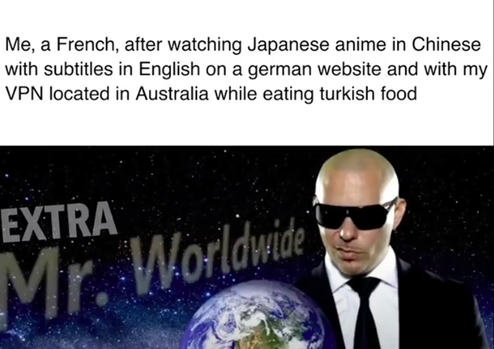 mr world wide pitbull meme