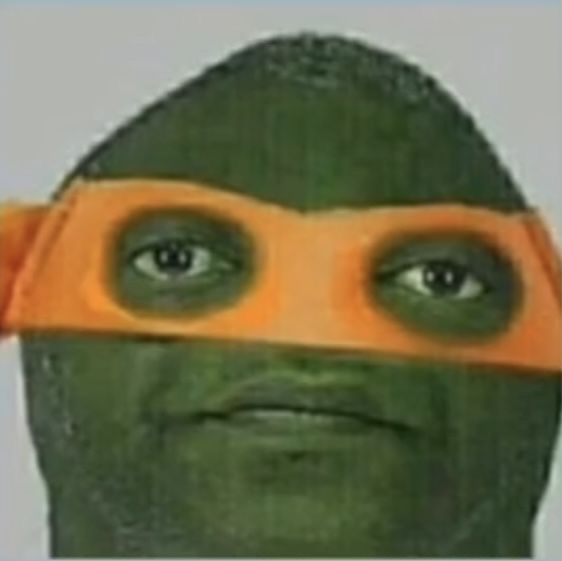 ninja turtle head funny meme