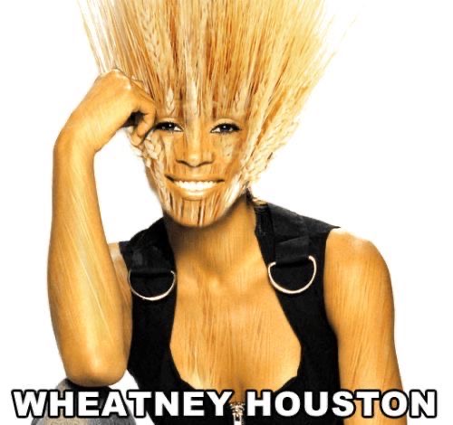 wheatney houston meme