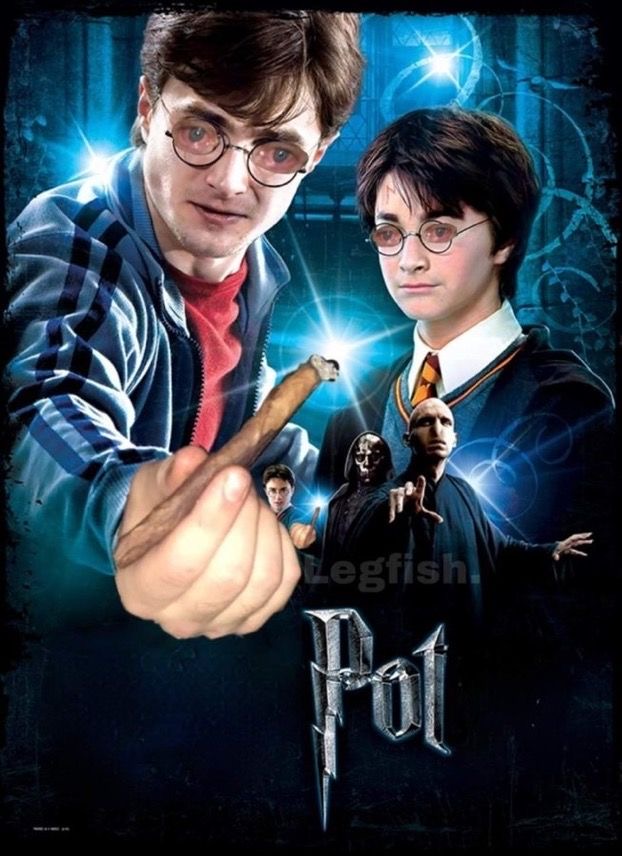 POT 420 meme harry potter