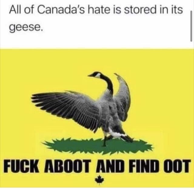 All of Canada's hate is stored in its geese.FUCK ABOOT AND FIND OOT