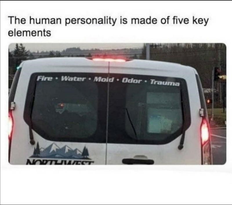 The human personality is made of five key
elements
Fire • Water • Mold • Odor • Trauma van meme