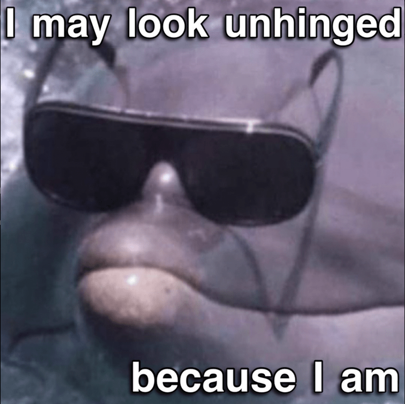 i may look unhinged because i am dolphin wearing glasses shades meme