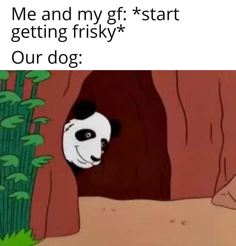 relationship gf meme dog