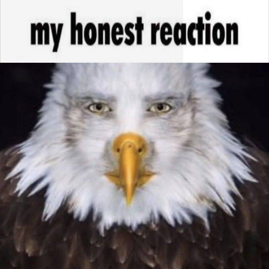 my honest reaction eagle dank 