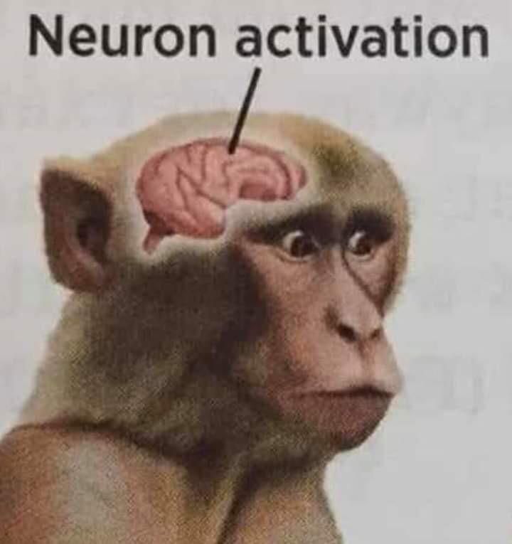 monkey brain neuron activation