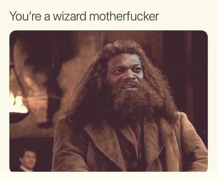 you are a wizard mother fucker , samuel jackson harry potter scene meme