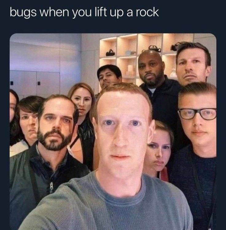 bugs when you lift up a rock facebook meta mark zuckerberg 