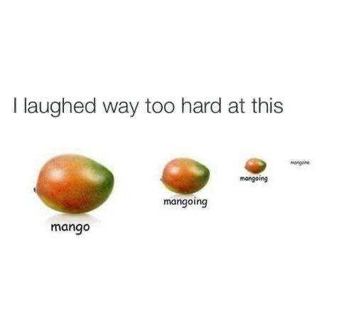 mango mangoing mangone meme fruit