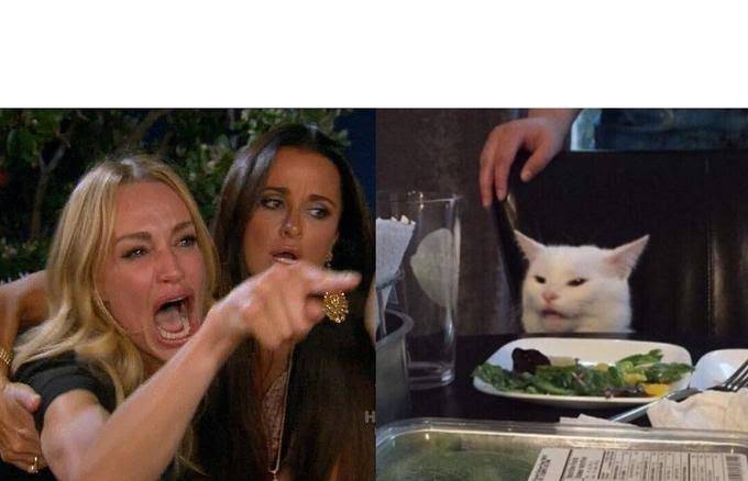 woman pointing at cat meme template white cat dining