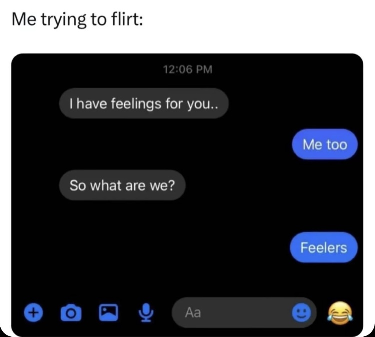 Me trying to flirt:
12:06 PM
I have feelings for you..
So what are we?
+
Аа
Me too
Feelers.  funny conversation meme