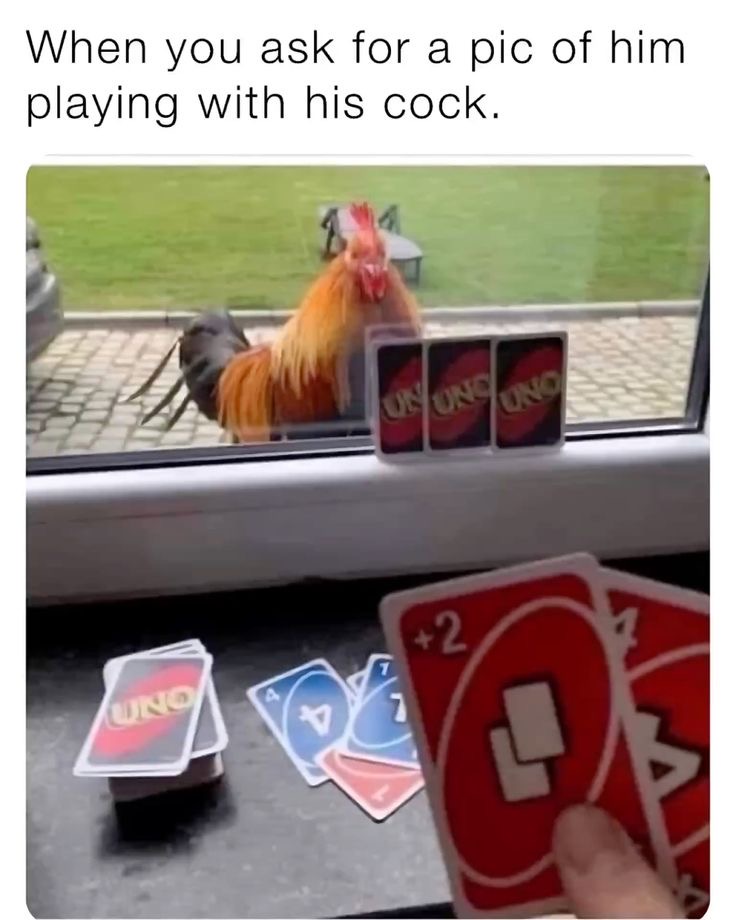 When you ask for a pic of him playing with his cock. crush meme cock playing uno on the window