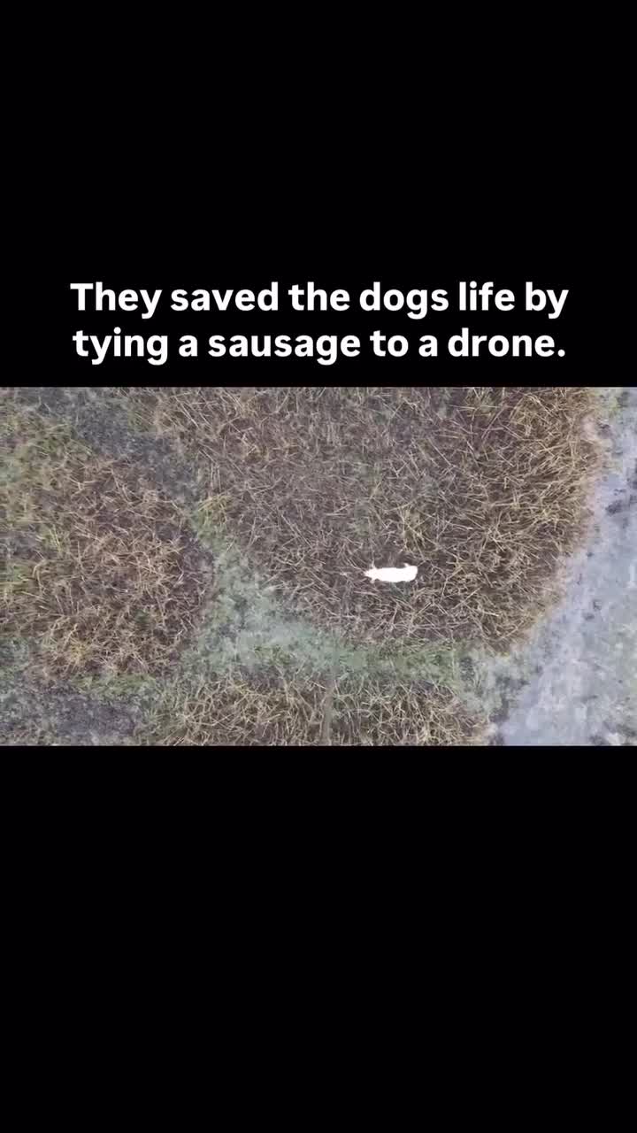 they saved a dogs life by tying a sausage to a drone