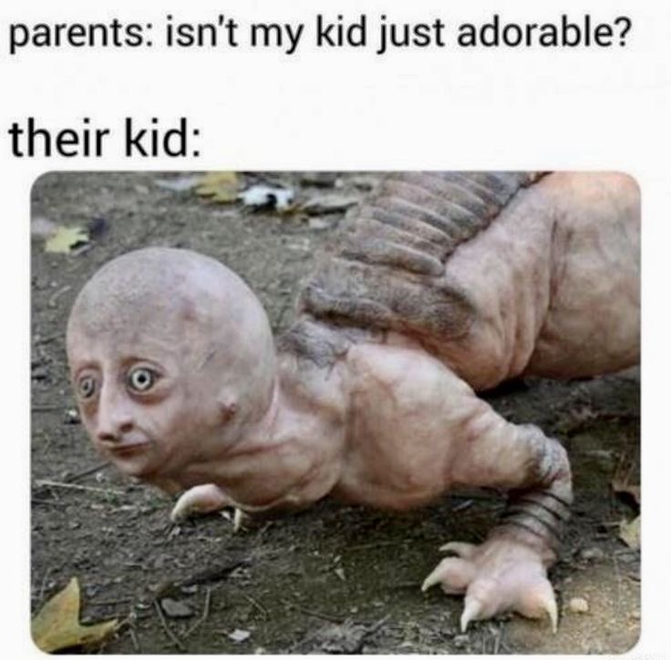 parents: isn't my kid just adorable? their kid: dank