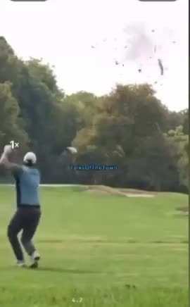 did I hit that bird 